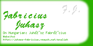 fabricius juhasz business card